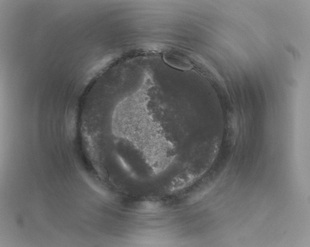 X0000115300496200911231312