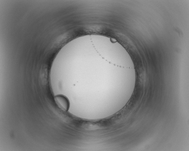 X0000115300498200911231312