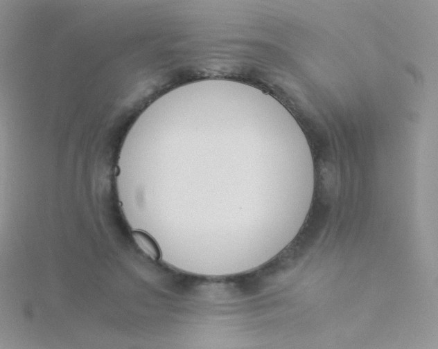 X0000115300499200911231312