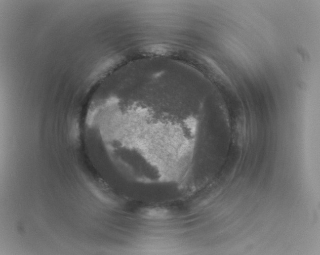 X0000115300500200911231312