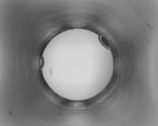 X0000115300501200911231312