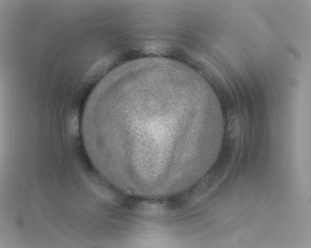 X0000115300502200911231312