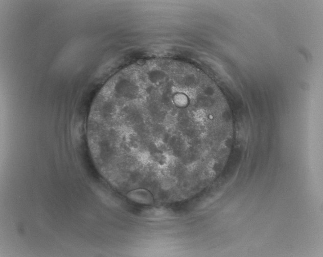 X0000115300503200911231312