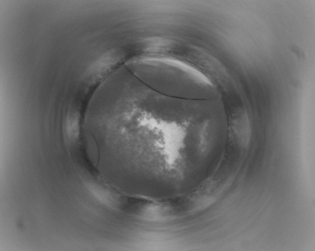 X0000115300504200911231312