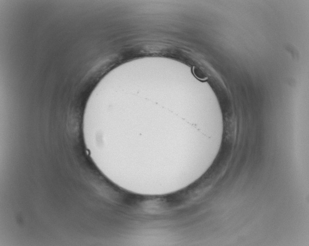 X0000115300505200911231312