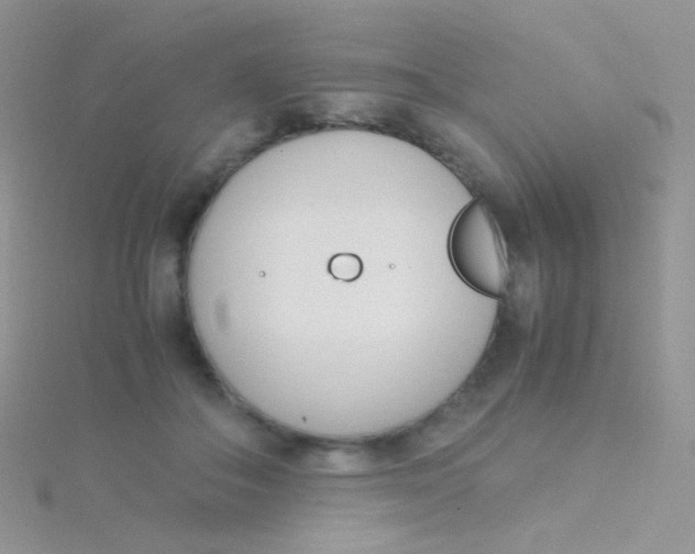 X0000115300506200911231312