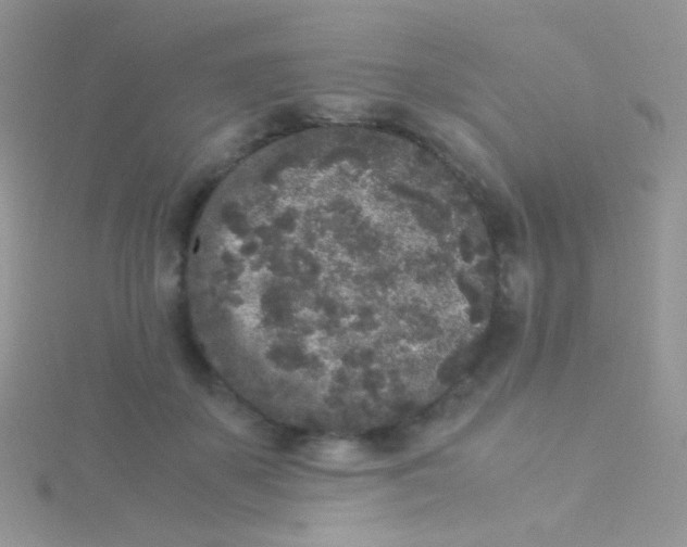 X0000115300507200911231312