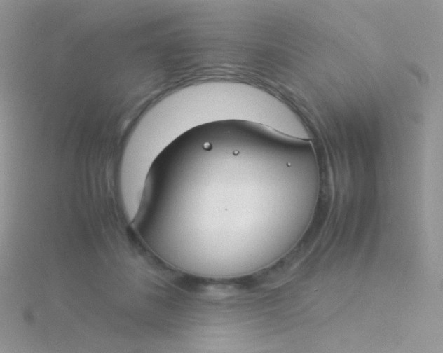 X0000115300508200911231312