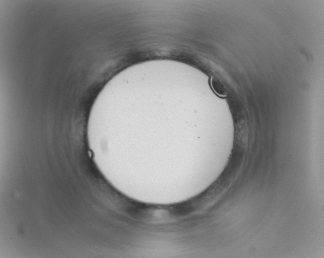 X0000115300509200911231312