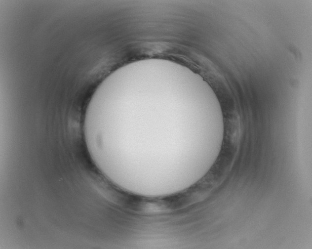 X0000115300510200911231312