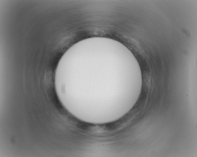 X0000115300511200911231312