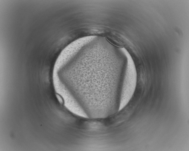 X0000115300512200911231312