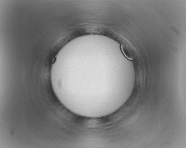 X0000115300513200911231312