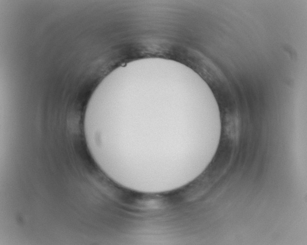 X0000115300514200911231312