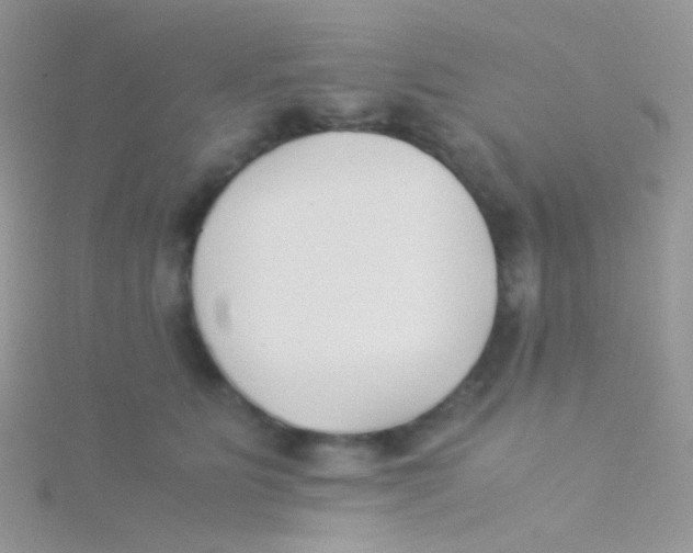 X0000115300515200911231312