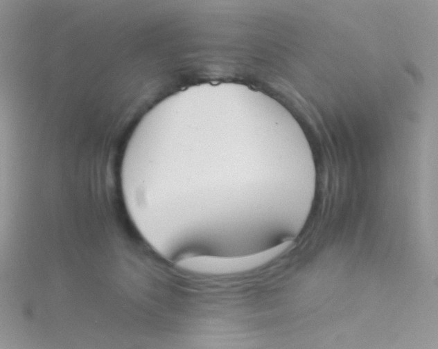 X0000115300516200911231312