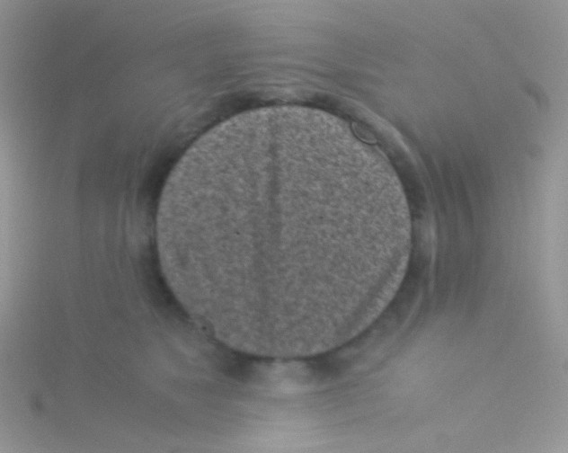 X0000115300517200911231312