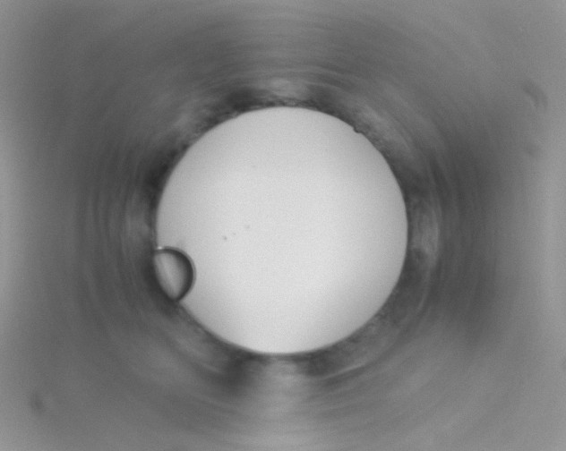 X0000115300518200911231312