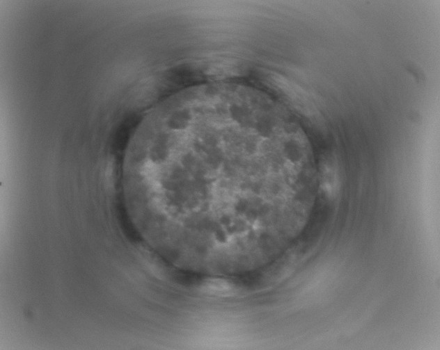 X0000115300519200911231312