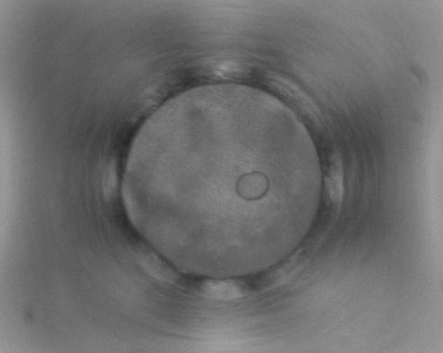 X0000115300520200911231312