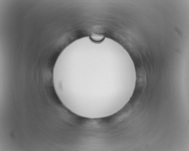 X0000115300523200911231312