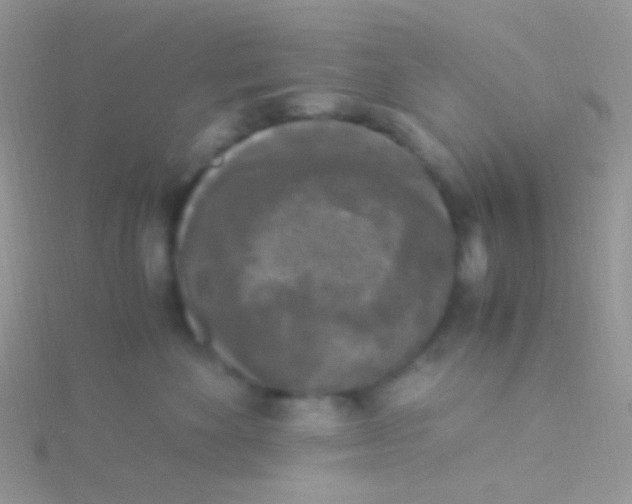 X0000115300524200911231312