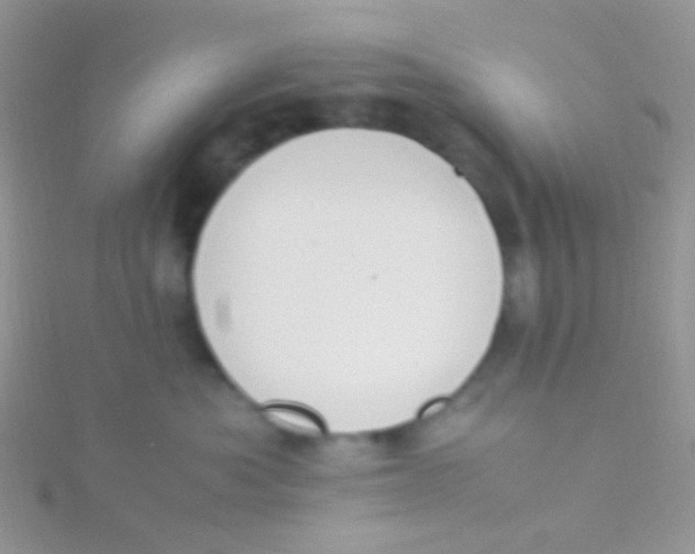 X0000115300525200911231311