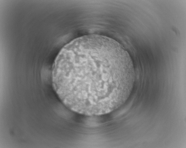 X0000115300527200911231311