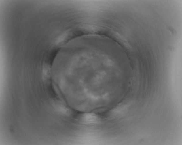 X0000115300528200911231311