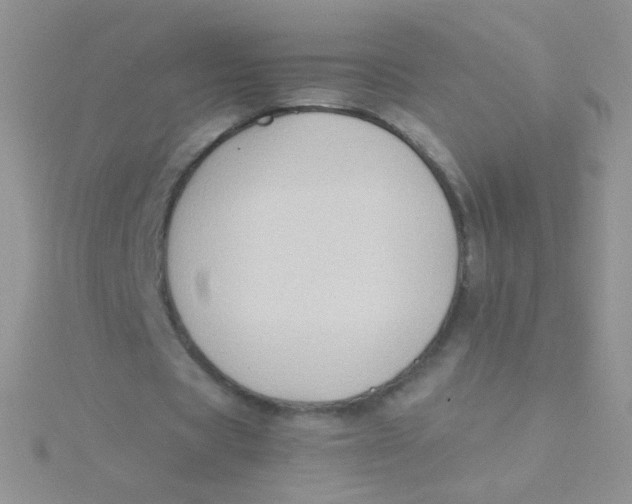 X0000115300529200911231311