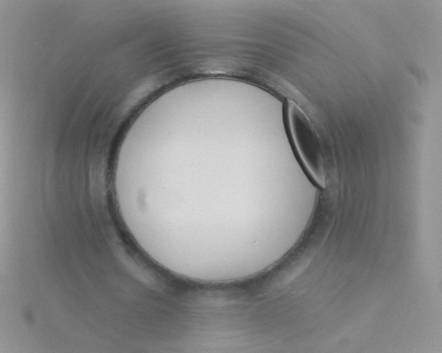 X0000115300530200911231311