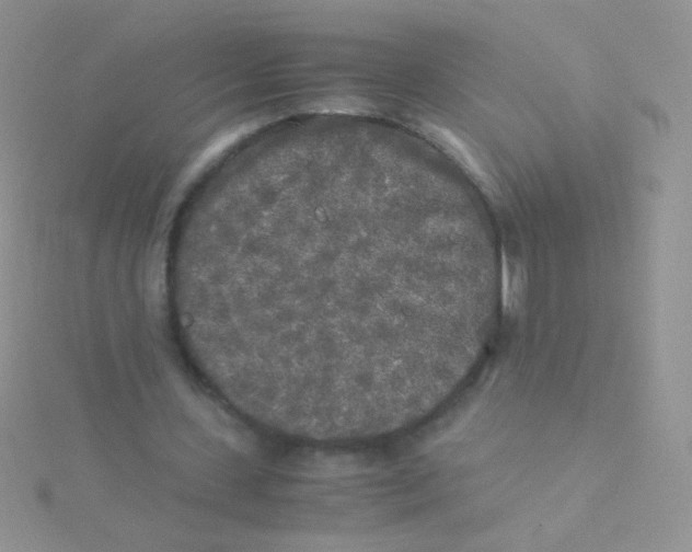 X0000115300531200911231311