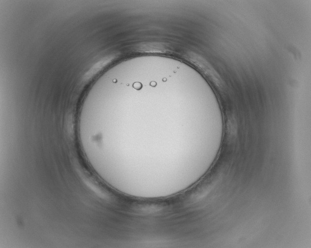 X0000115300533200911231311