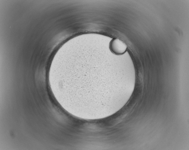 X0000115300534200911231311