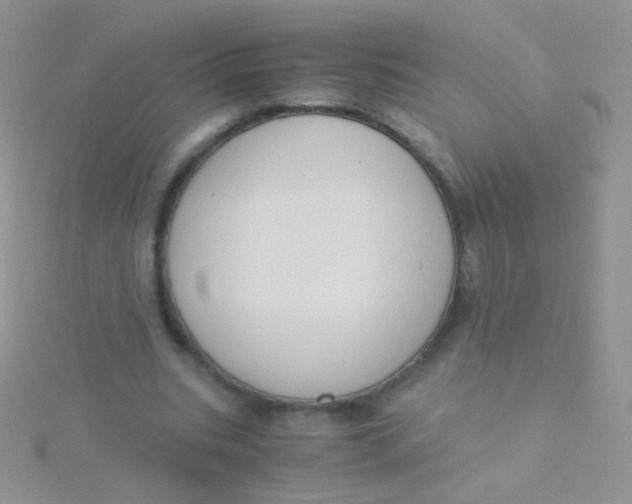 X0000115300535200911231311