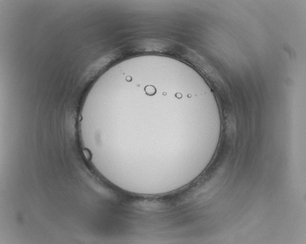 X0000115300537200911231311