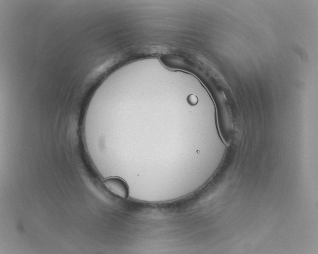 X0000115300538200911231311