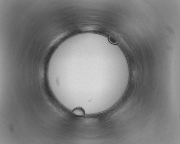 X0000115300539200911231311