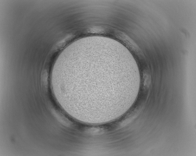 X0000115300542200911231311