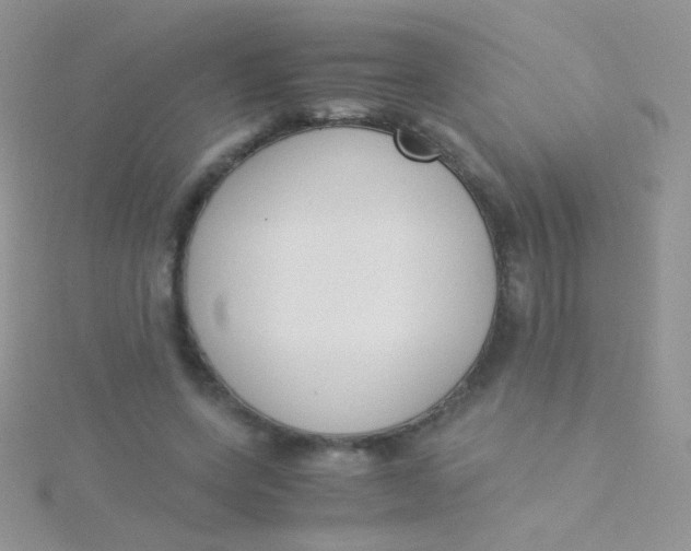 X0000115300543200911231311