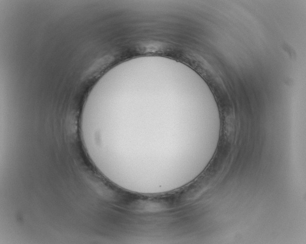 X0000115300545200911231311