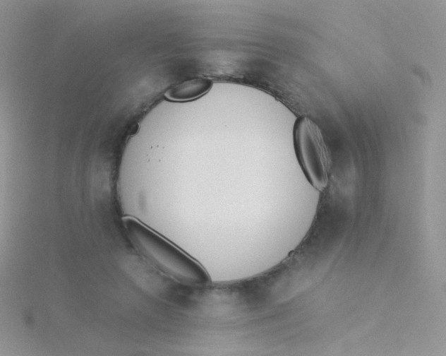 X0000115300546200911231311