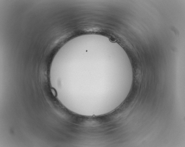 X0000115300547200911231311