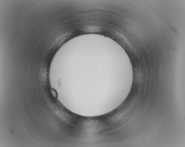 X0000115300549200911231311