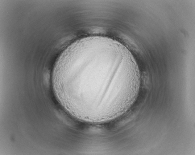 X0000115300550200911231311