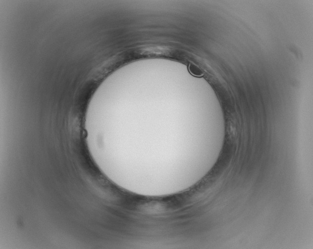 X0000115300551200911231311