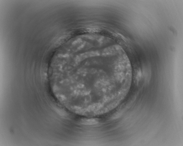 X0000115300553200911231311