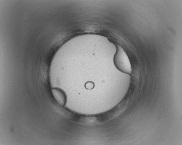 X0000115300554200911231311