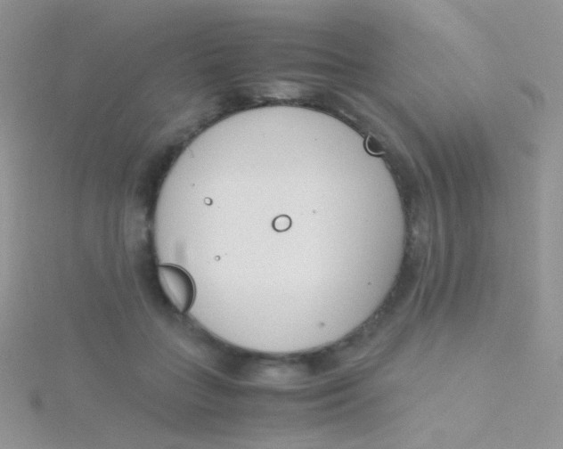 X0000115300555200911231311