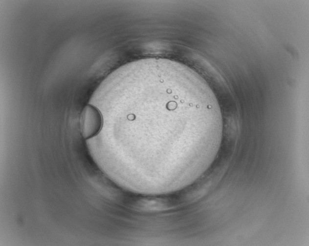 X0000115300557200911231311